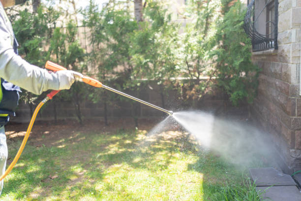 Best Wasp Removal Services  in Youngsville, PA