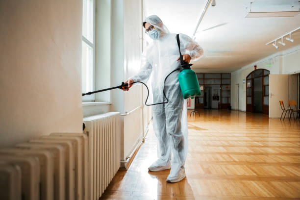 Flea Control Services in Youngsville, PA
